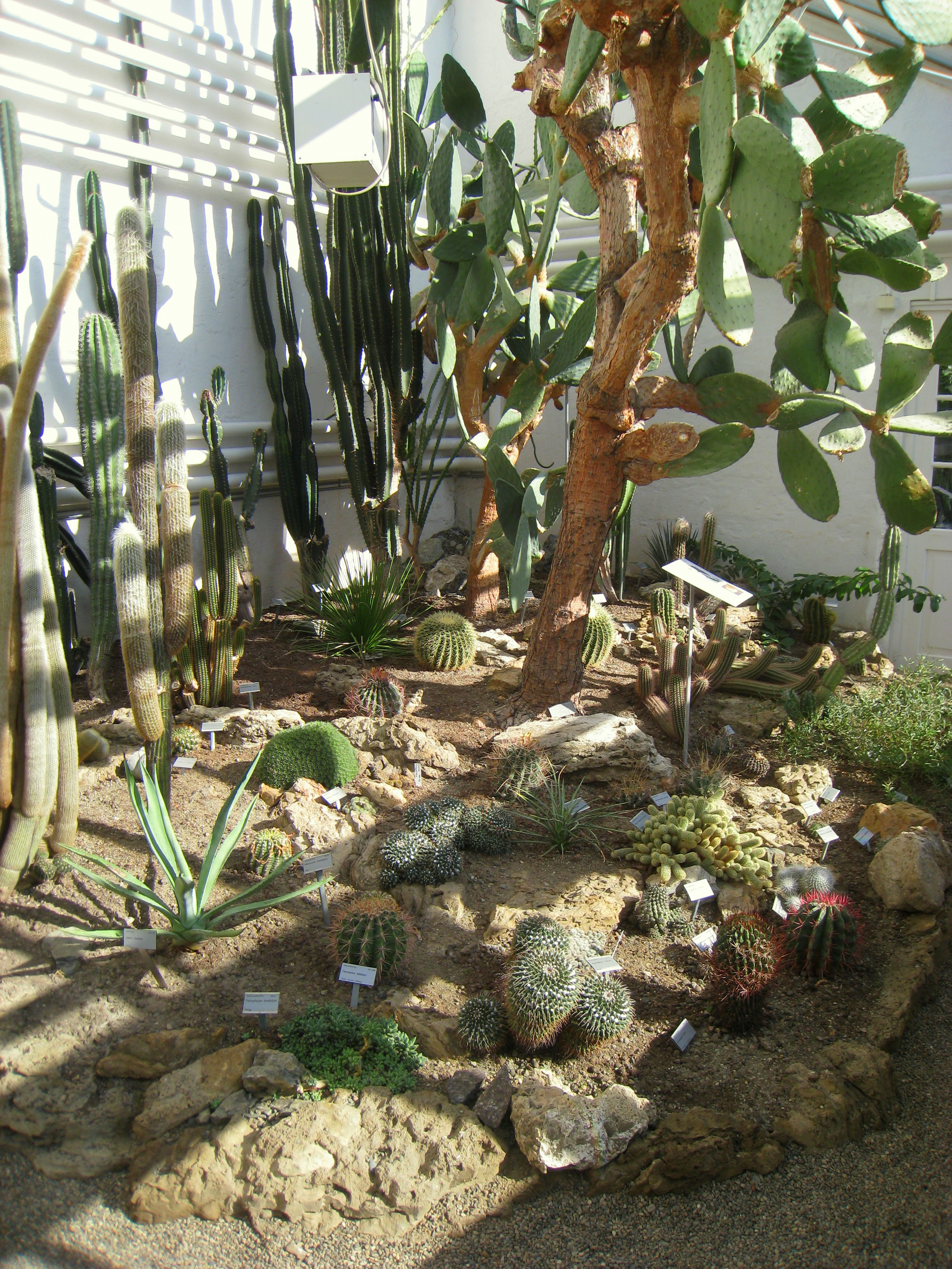Botanical Garden (Oslo)